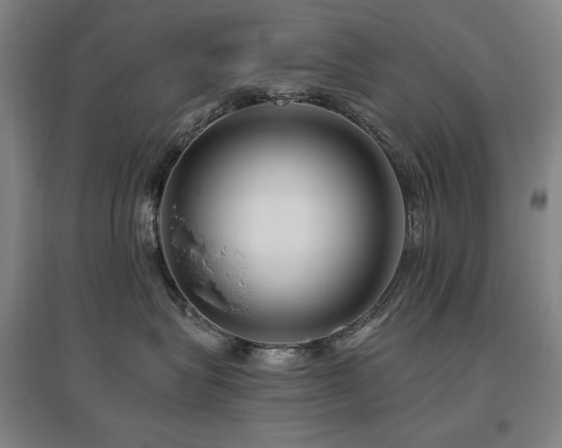 X0000095900575200801111212