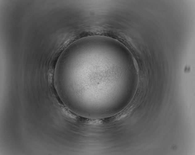 X0000095900576200801111212