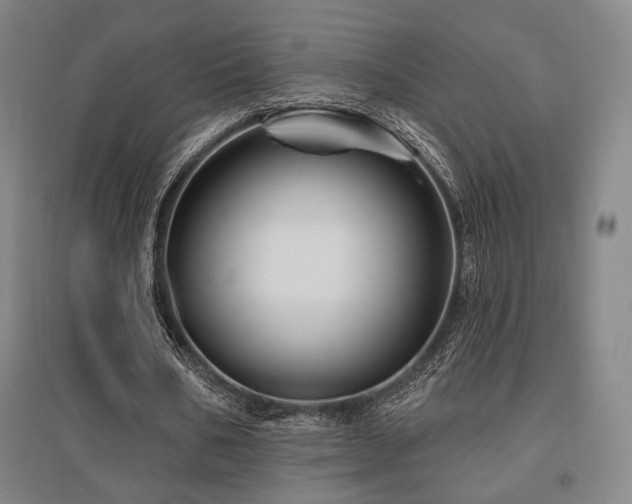 X0000095900578200801111211