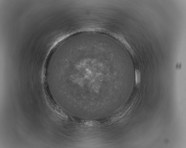 X0000095900579200801111211