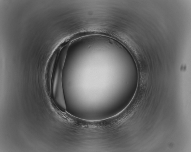 X0000095900580200801111211