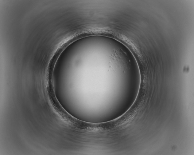 X0000095900582200801111211