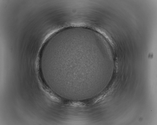 X0000095900583200801111211