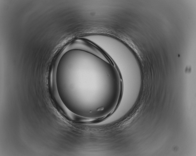 X0000095900585200801111211