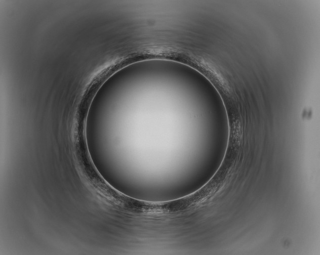 X0000095900587200801111211