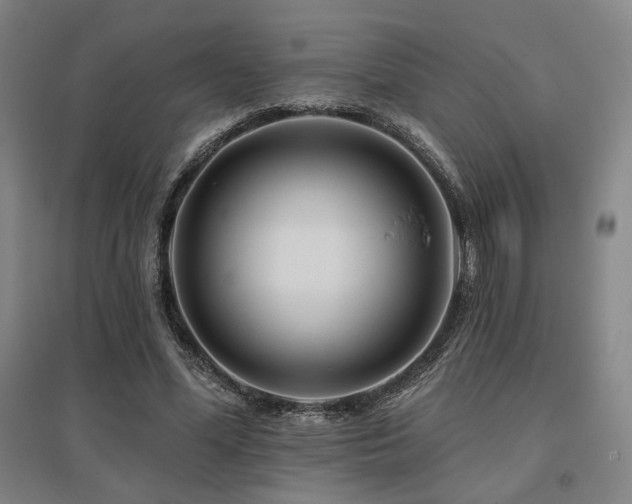 X0000095900588200801111211