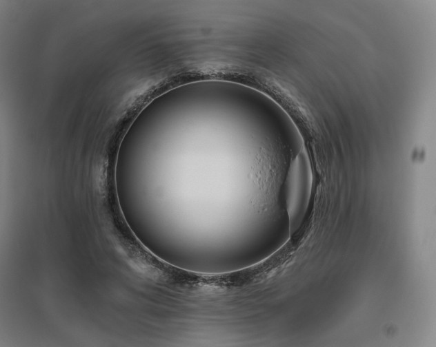 X0000095900592200801111211
