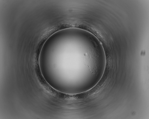 X0000095900594200801111211