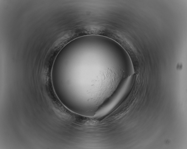 X0000095900599200801111211