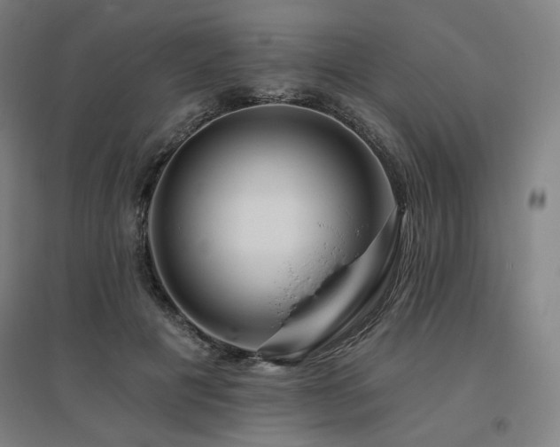 X0000095900601200801111211