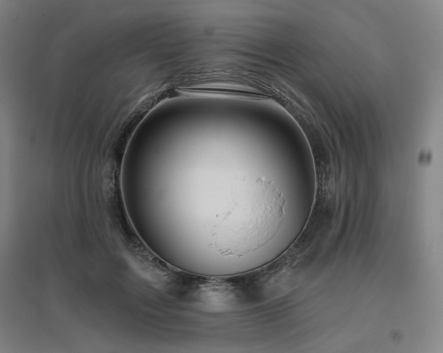 X0000095900603200801111211