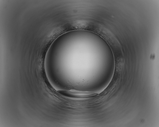 X0000095900604200801111211