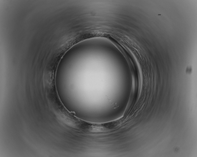 X0000095900605200801111211