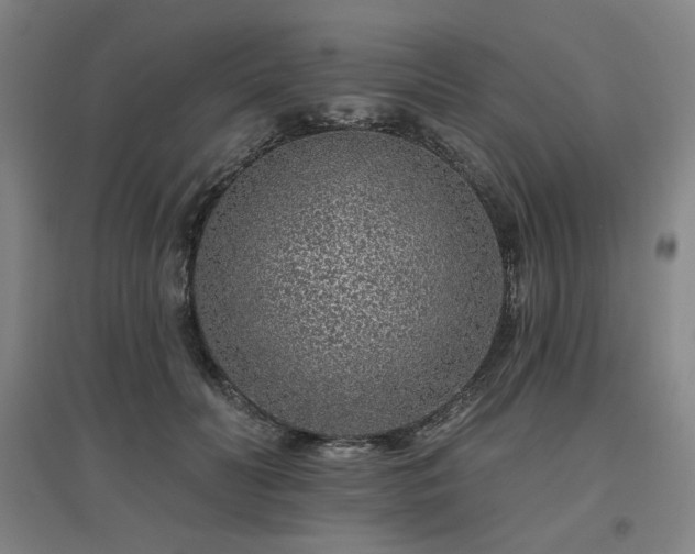 X0000095900606200801111211