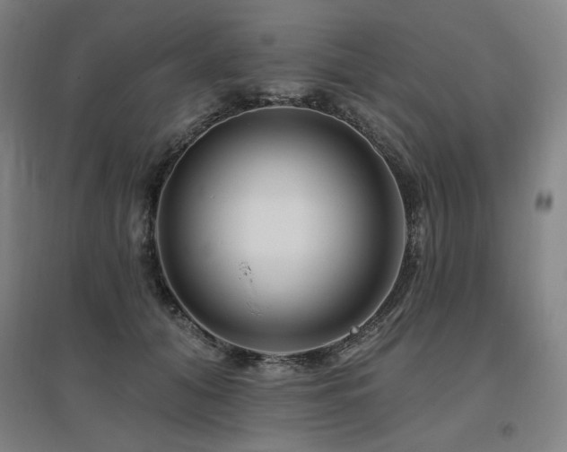 X0000095900608200801111211