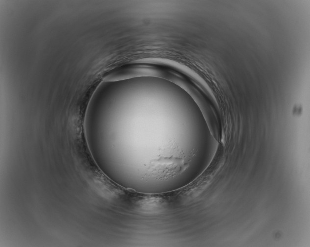 X0000095900609200801111211
