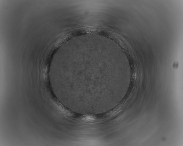 X0000095900610200801111211