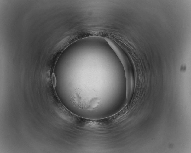 X0000095900611200801111211