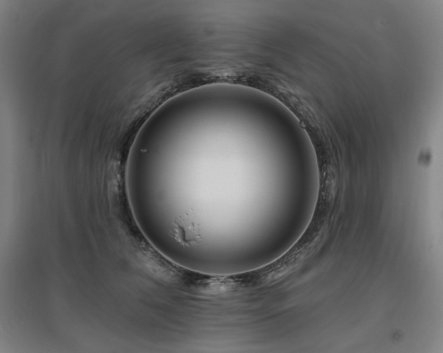 X0000095900612200801111211