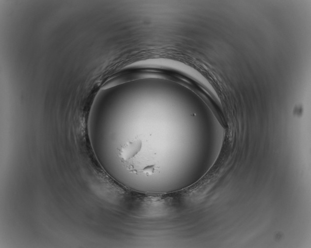 X0000095900613200801111211