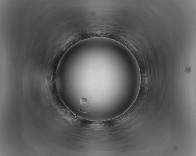 X0000095900615200801111211