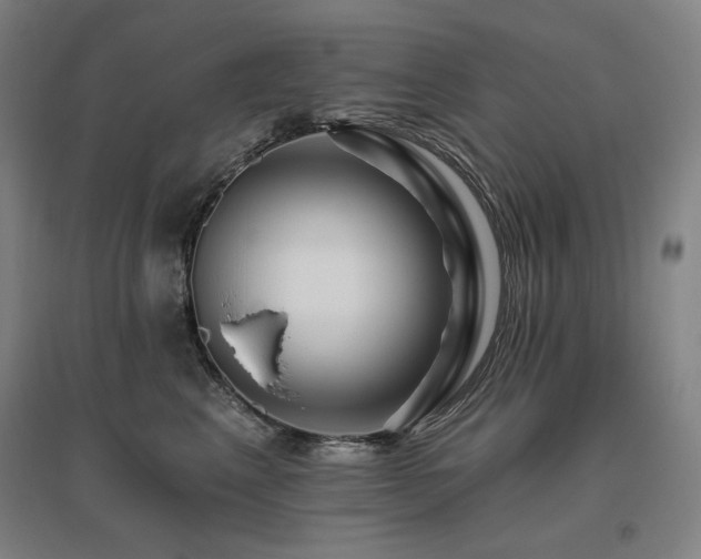 X0000095900617200801111211