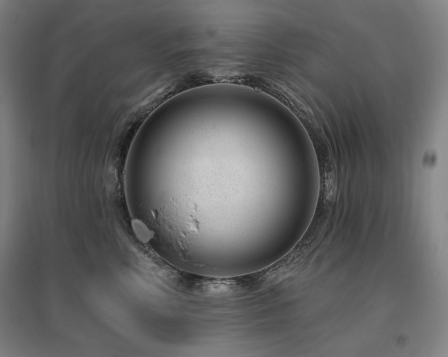 X0000095900618200801111211