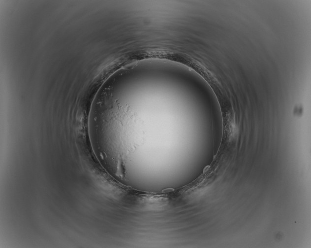 X0000095900619200801111211