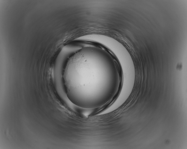 X0000095900621200801111211