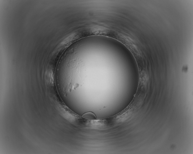 X0000095900622200801111211