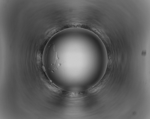 X0000095900623200801111211