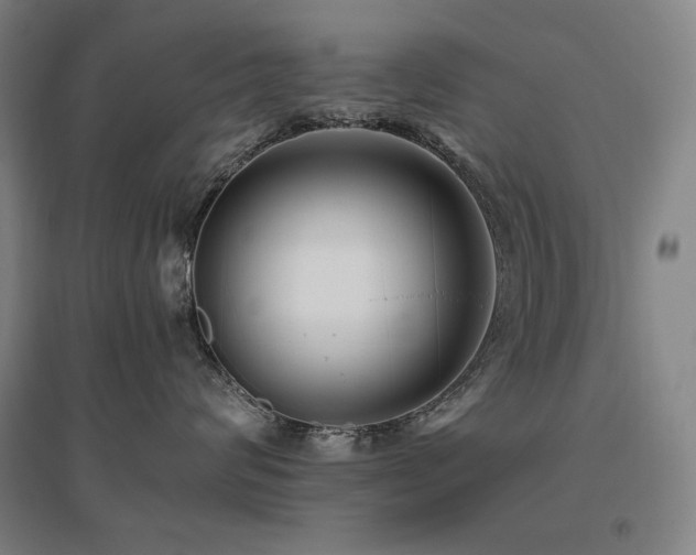X0000095900624200801111211