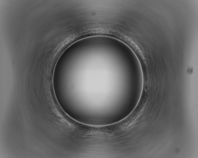 X0000095900625200801111210