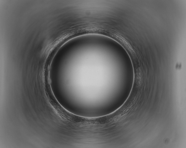 X0000095900626200801111210