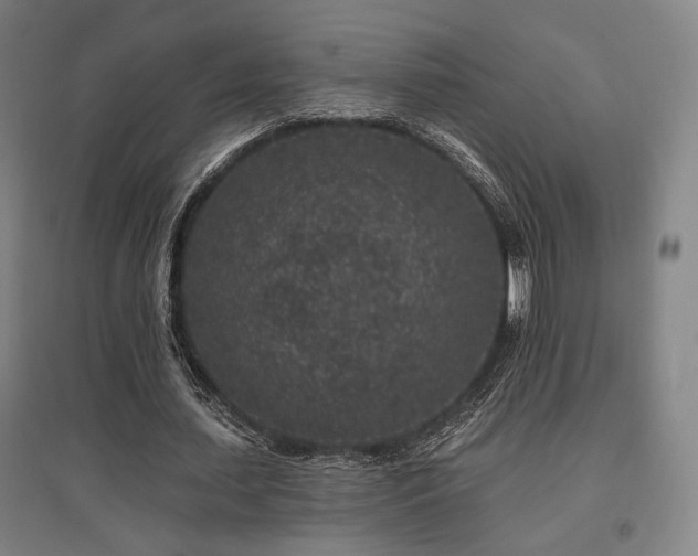 X0000095900627200801111210