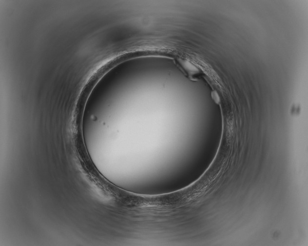 X0000095900628200801111210