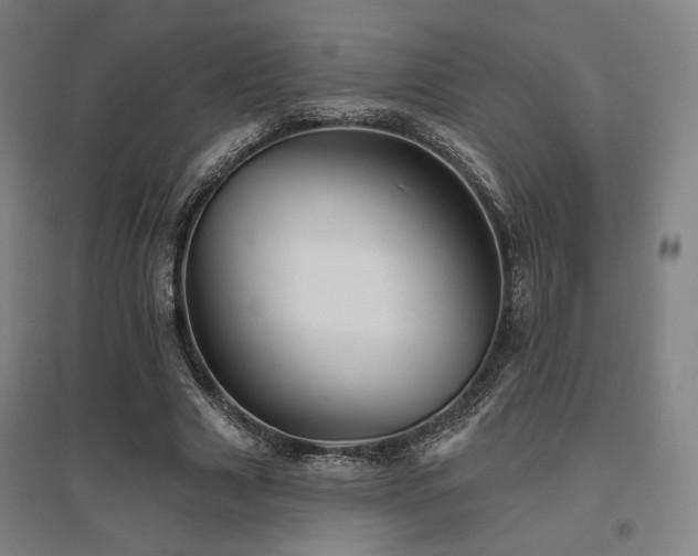 X0000095900633200801111210