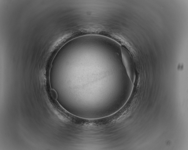 X0000095900634200801111210