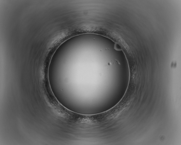 X0000095900635200801111210