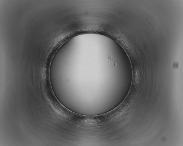 X0000095900636200801111210