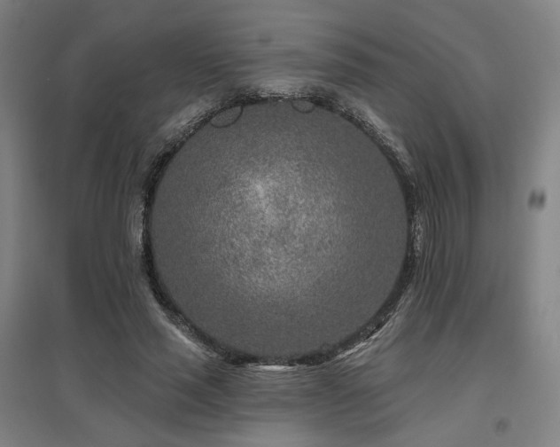 X0000095900637200801111210