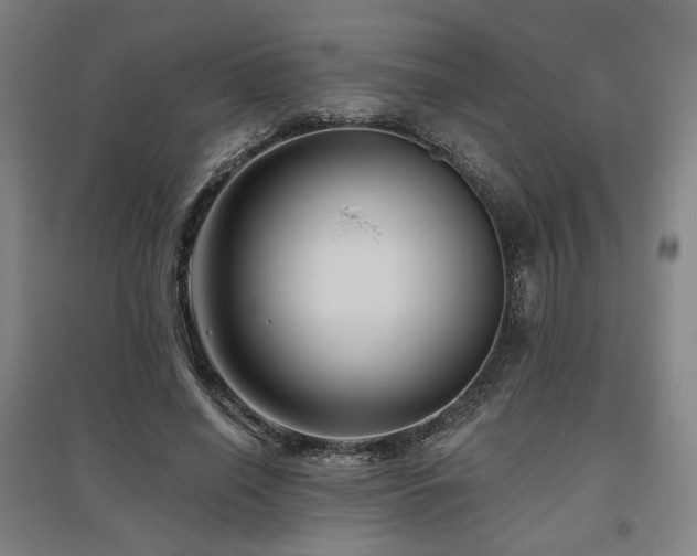 X0000095900638200801111210