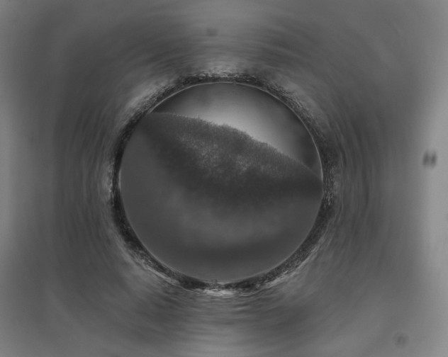 X0000095900640200801111210