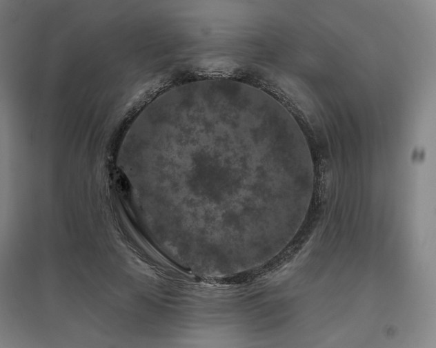 X0000095900641200801111210
