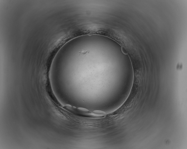 X0000095900642200801111210