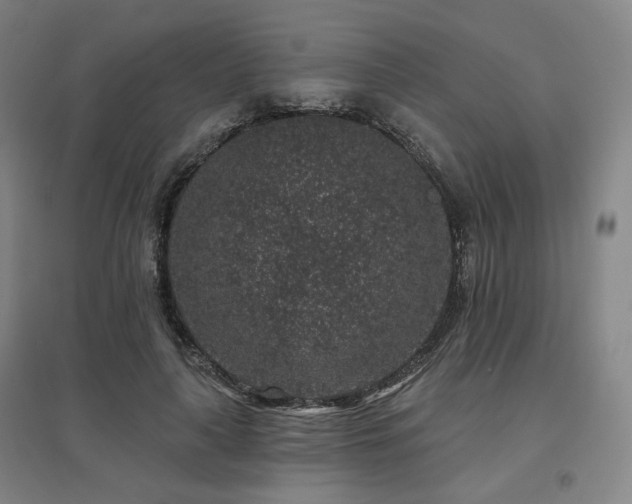 X0000095900643200801111210