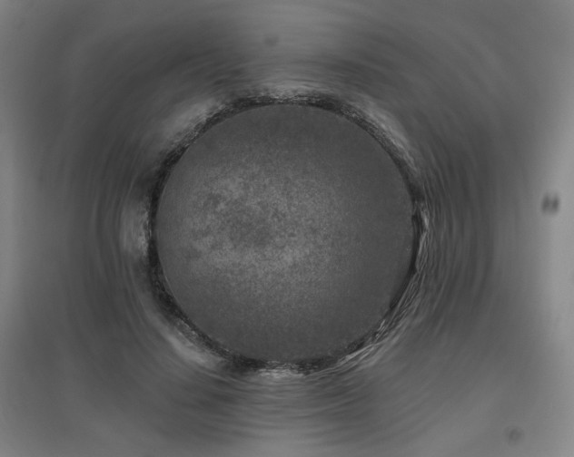 X0000095900644200801111210