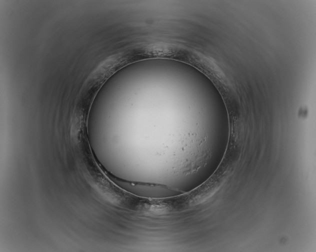 X0000095900645200801111210