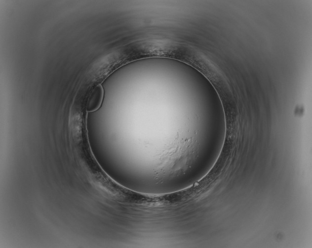 X0000095900646200801111210