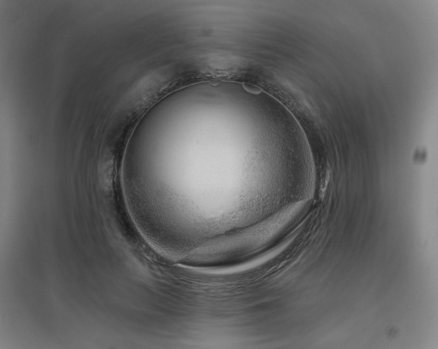 X0000095900647200801111210